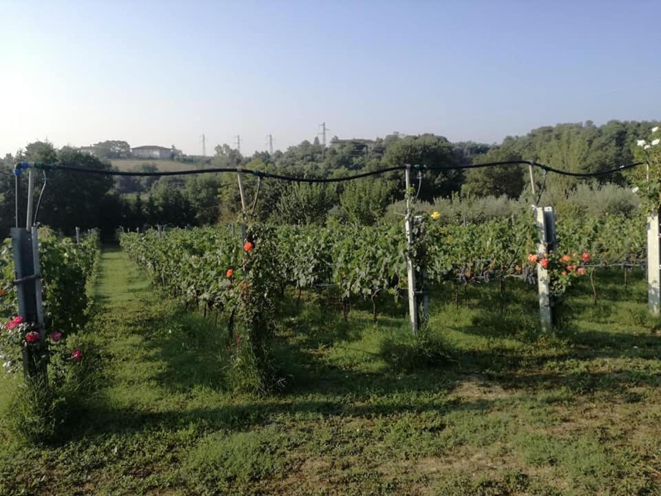 Il Casale Di Lucullo Villa Lucignano Eksteriør bilde