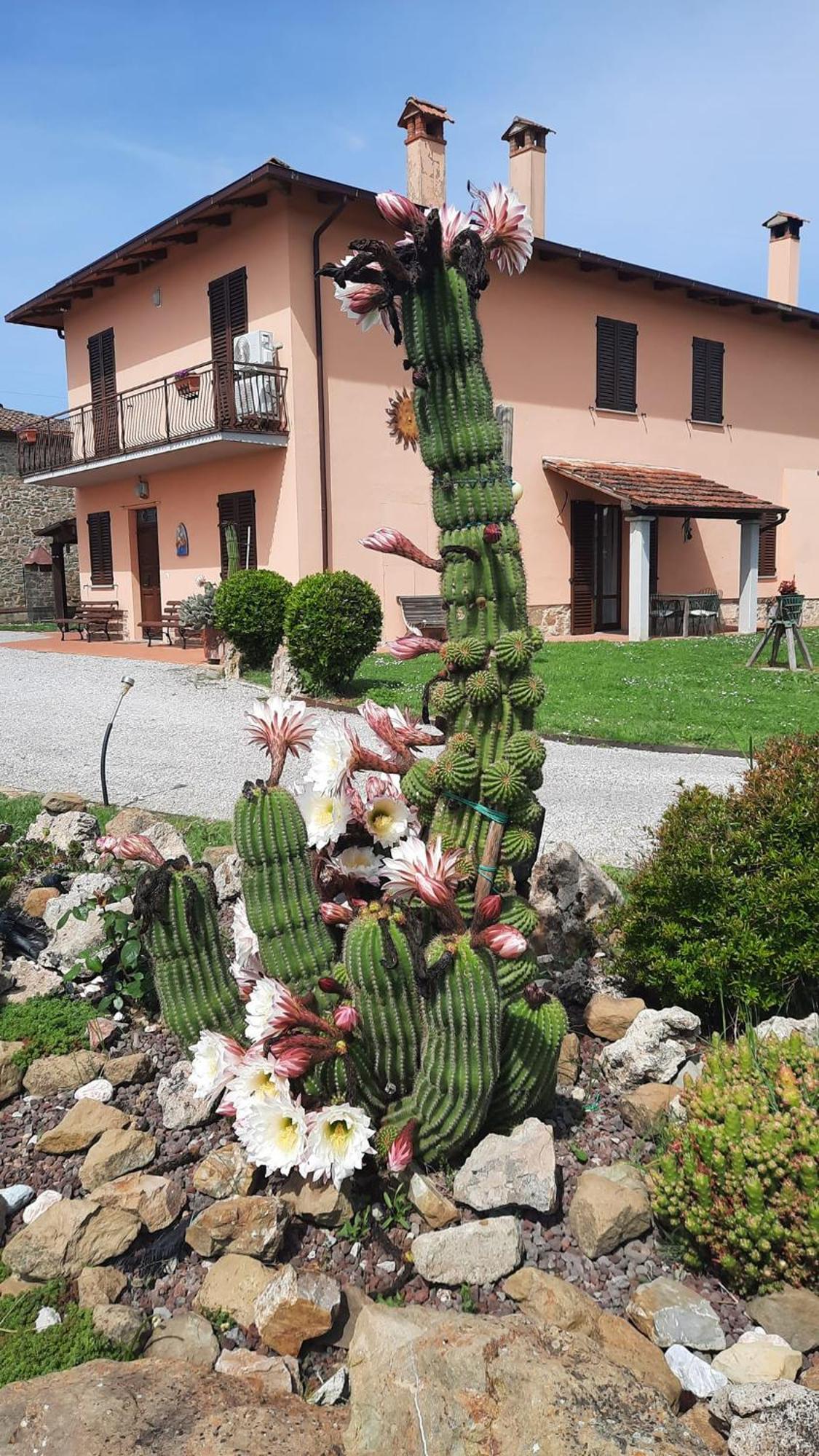 Il Casale Di Lucullo Villa Lucignano Eksteriør bilde